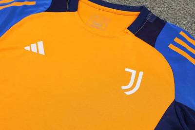 2024/25 Juventus Short Sleevetraining Suit-