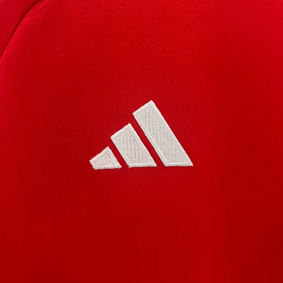 2024/25 Wales home fan version jersey 1:1 Thai quality