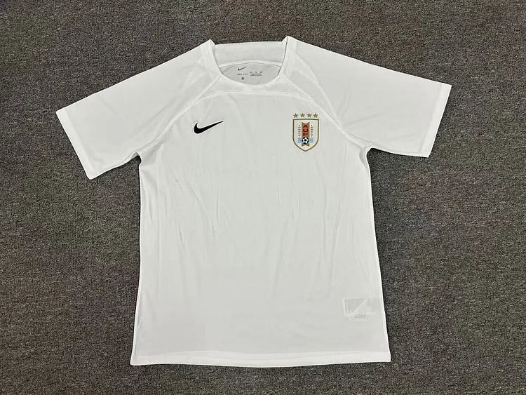 2024/25 Uruguay Special Edition Jersey
