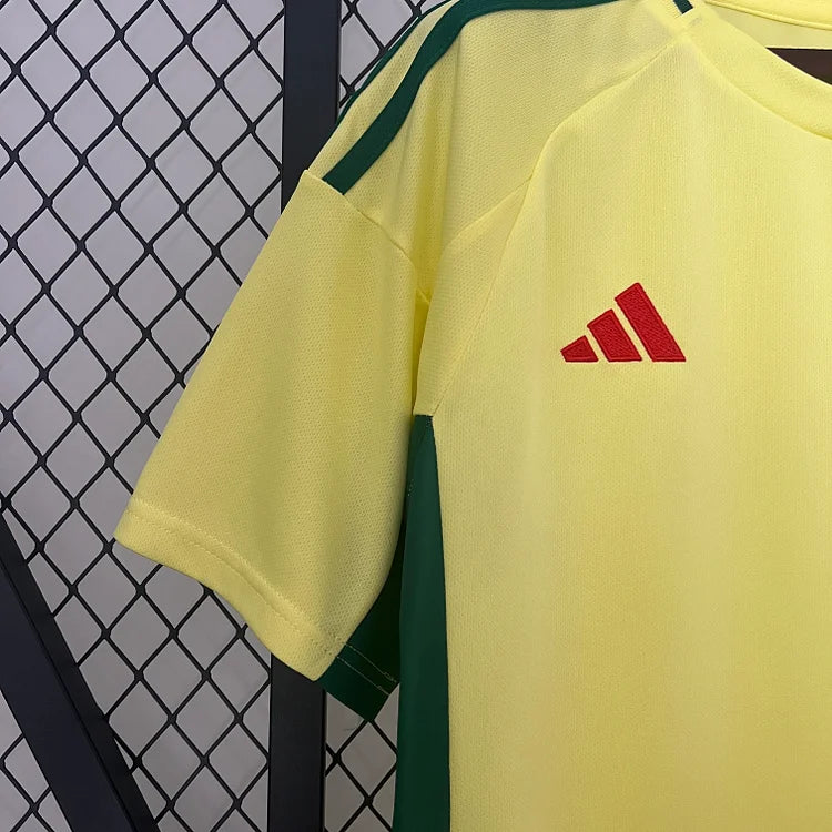 2024/25 Wales away fan version jersey 1:1 Thai quality