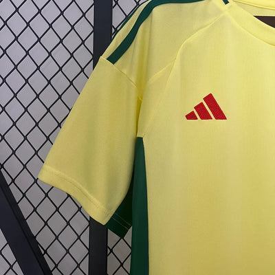 2024/25 Wales away fan version jersey 1:1 Thai quality