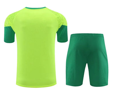 2024/25 Palmeiras Training Kit