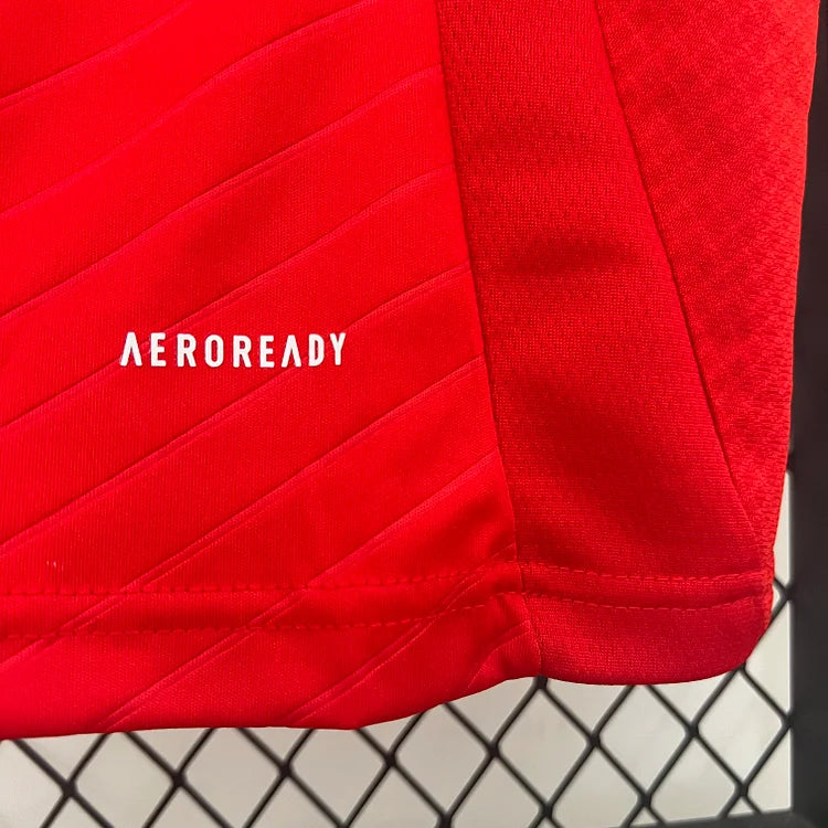 2024/25 Benfica Home Red Jersey