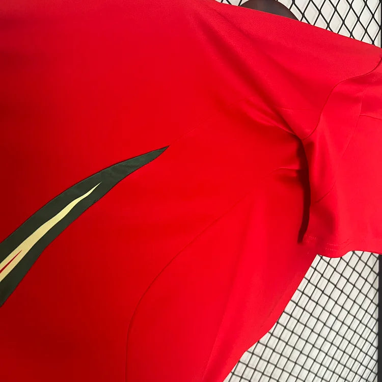 2024/25 Wales home fan version jersey 1:1 Thai quality