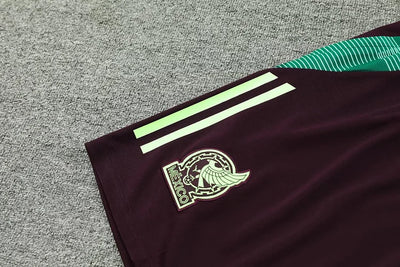 2024/25 Mexico Training Kit