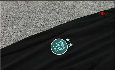 2023/24 Algeria Half-Pull Training Clothes