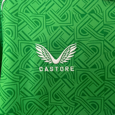 2024/25 Ireland home fan version jersey 1:1 Thai quality