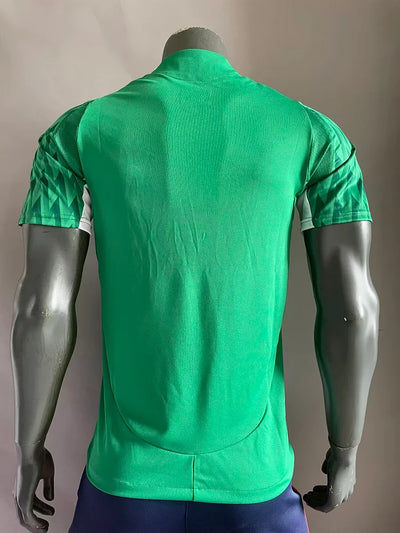 2024/25 Palmeiras Green Special Edition