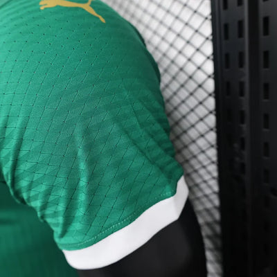 2024/25 Palmeiras Home Player Jersey