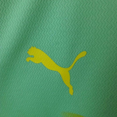 2022/2023 Palmeiras Third Away Jersey