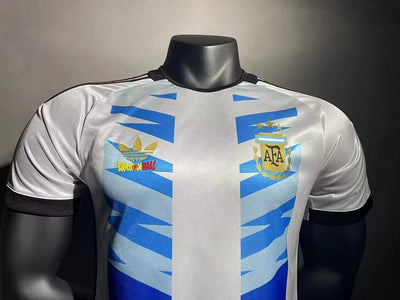 2024/25 Argentina Special Edition Shirt - Player Edition
