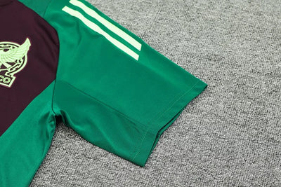 2024/25 Mexico Training Kit