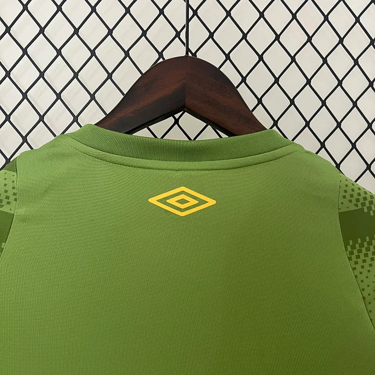 2024/25 Fluminense Green Shirt