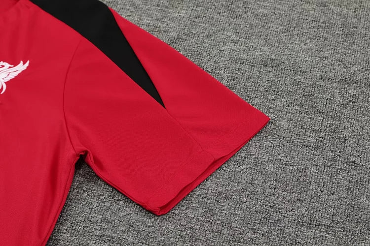 2024/25 Liverpool Training Kit