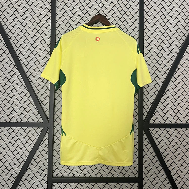 2024/25 Wales away fan version jersey 1:1 Thai quality