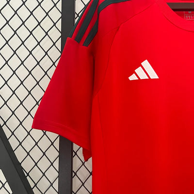 2024/25 Wales home fan version jersey 1:1 Thai quality