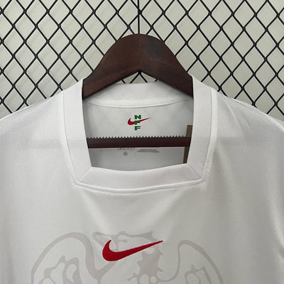 2024/25 Nigeria home fan edition jersey