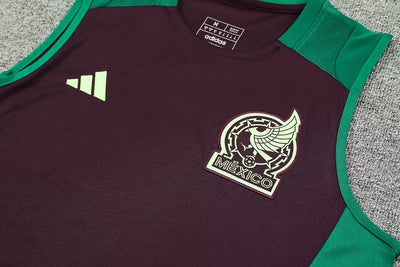 2024/25 Mexico Training Vest