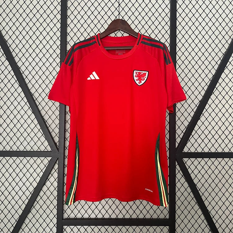 2024/25 Wales home fan version jersey 1:1 Thai quality