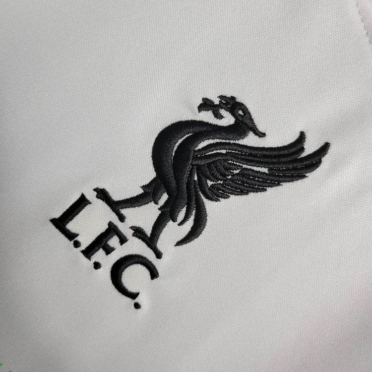 2023/24 Liverpool away jersey.