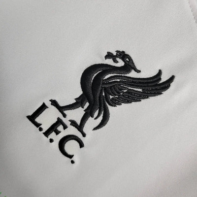 2023/24 Liverpool away jersey.