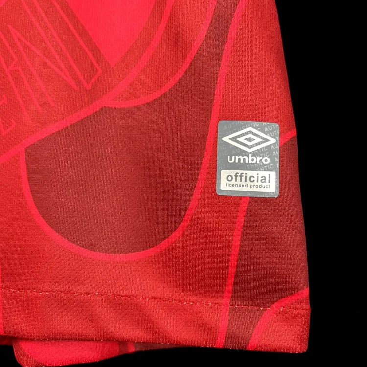 2023/2024 Fluminense Training Wear Jersey