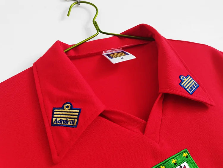 1976/79 Wales home retro jersey 1:1 Thai quality