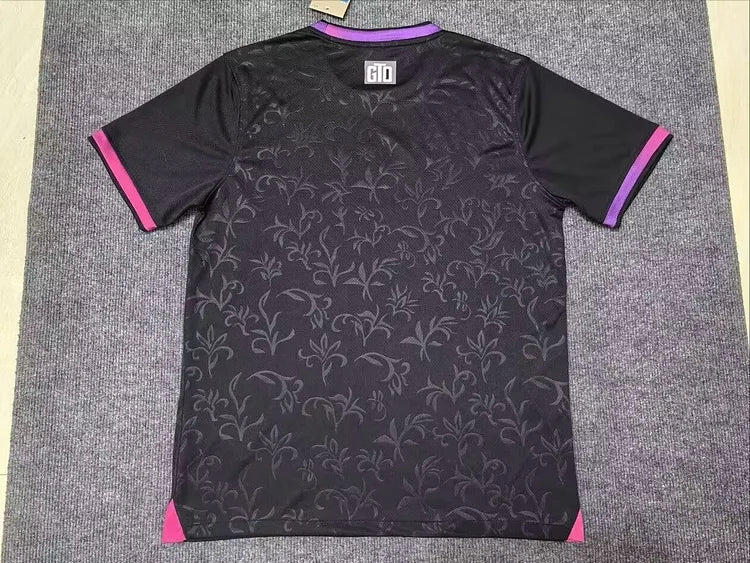 2024/25 Paris Special Edition Jersey
