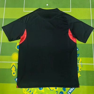 2025/2026 Benfica Fans Training Uniform
