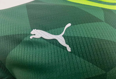2023/2024 Player Version Palmeiras Home Jersey