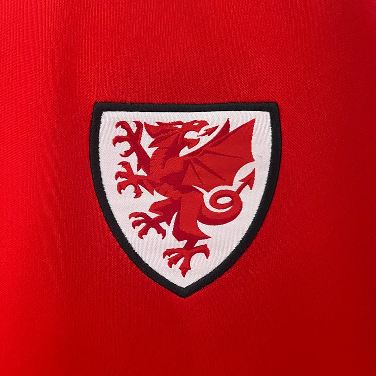 2024/25 Wales home fan version jersey 1:1 Thai quality