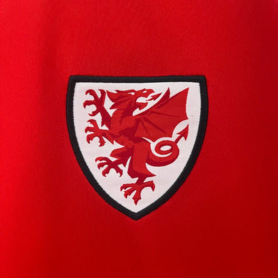 2024/25 Wales home fan version jersey 1:1 Thai quality