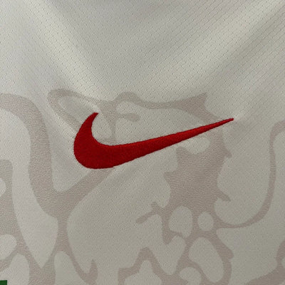 2024/25 Nigeria home fan edition jersey