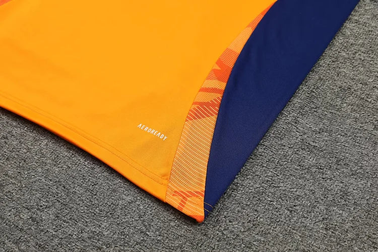 2024/25 Juventus Training Vest.