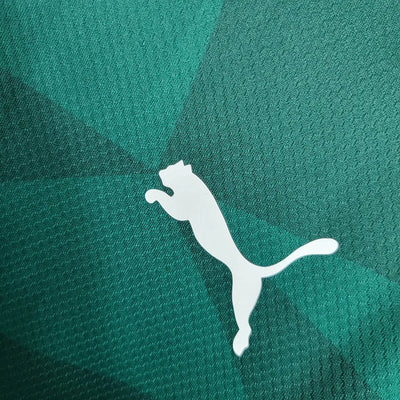 2023/2024 Palmeiras Home Jersey