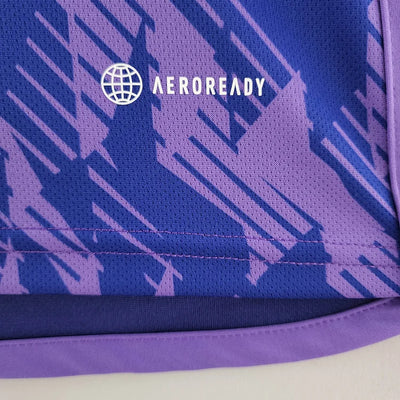 2022 Argentina Away Jersey (2 Stars)