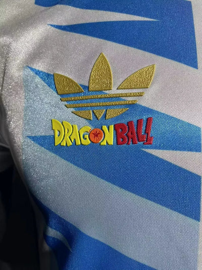 2024/25 Argentina Special Edition Shirt - Player Edition