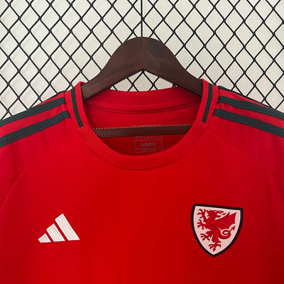 2024/25 Wales home fan version jersey 1:1 Thai quality