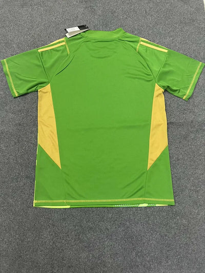 2024/25 Argentina Green Goalkeeper Shirt