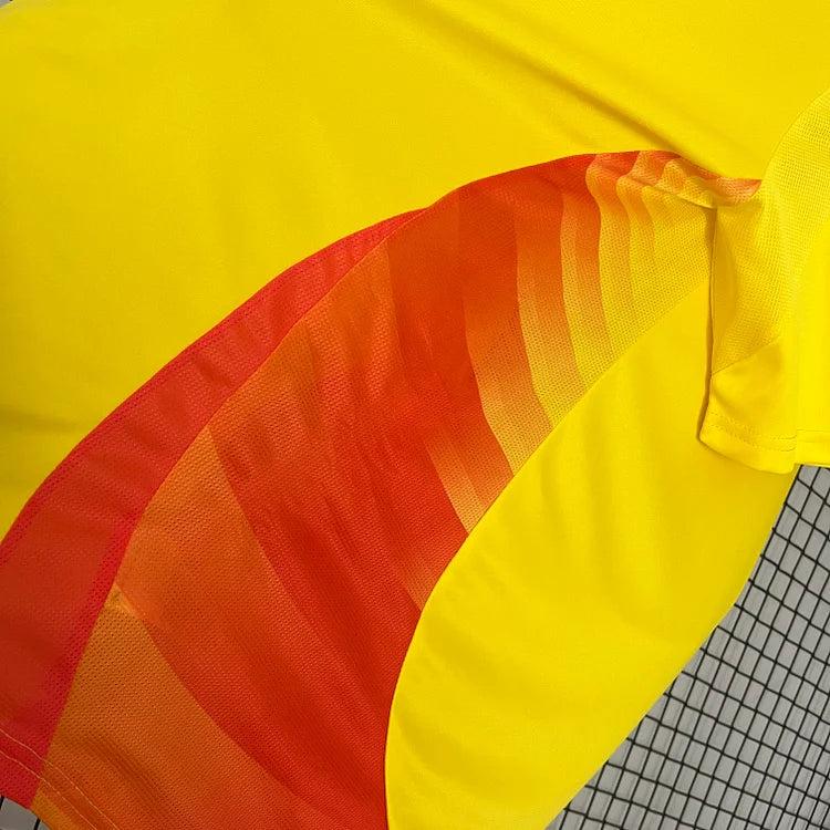 2024/25 Colombia home shirt.