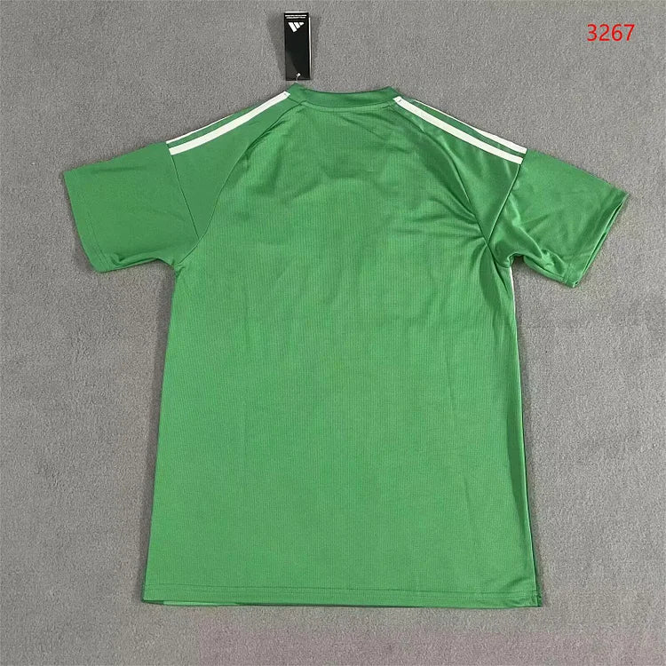 2025/2026 Newcastle Away Fan Edition