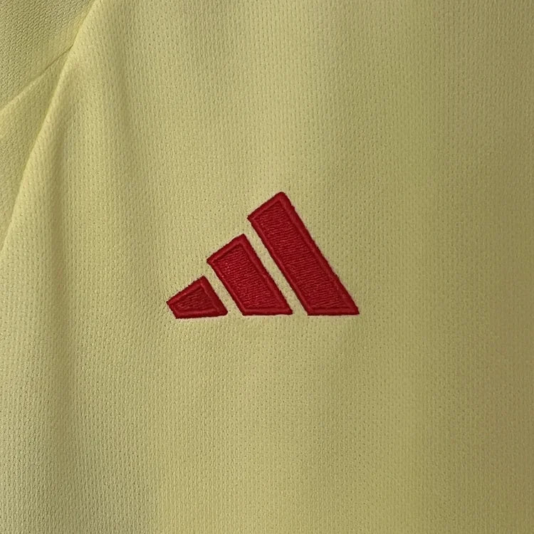 2024/25 Wales away fan version jersey 1:1 Thai quality