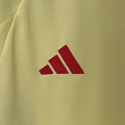 2024/25 Wales away fan version jersey 1:1 Thai quality