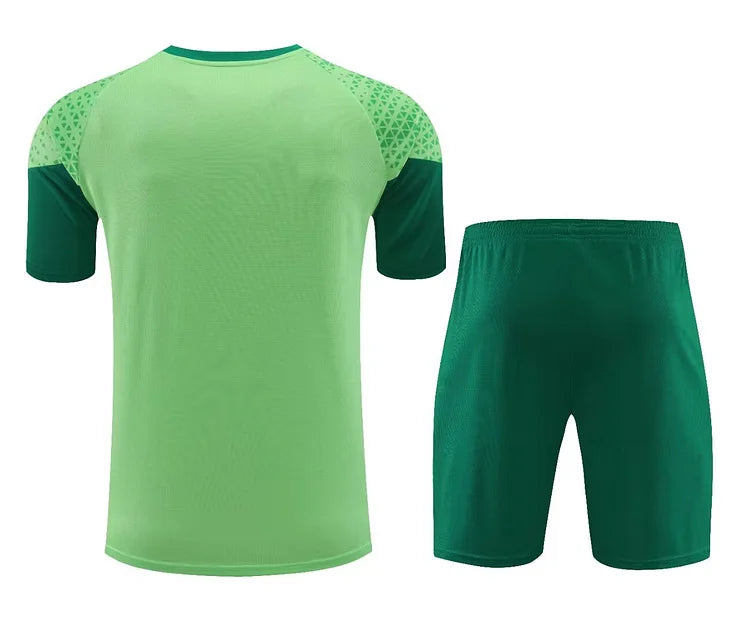 2024/25 Palmeiras Training Kit