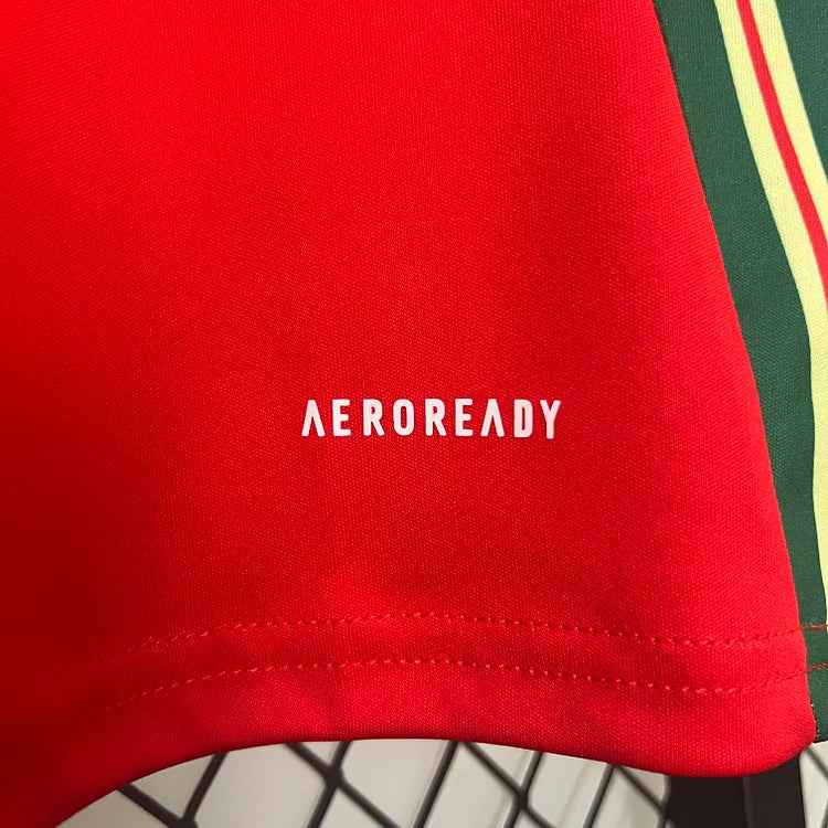 2024/25 Wales home fan version jersey 1:1 Thai quality