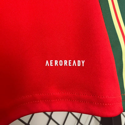 2024/25 Wales home fan version jersey 1:1 Thai quality